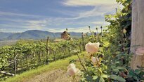 Hotel Schloss Korb