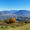 herbst aussicht auf bozen ab buchwald Pano