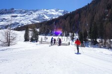 melager alm winter langlauf loipe skifahrer