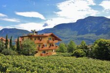 Guesthouse Hotel Terzer