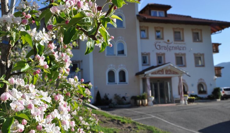Hotel Grafenstein