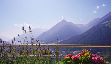 Hotel Langwies - Hotel Langwies