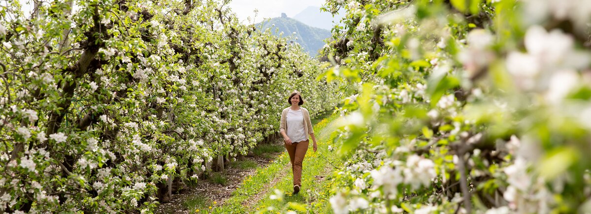 fruehlingsurlaub in suedtirol