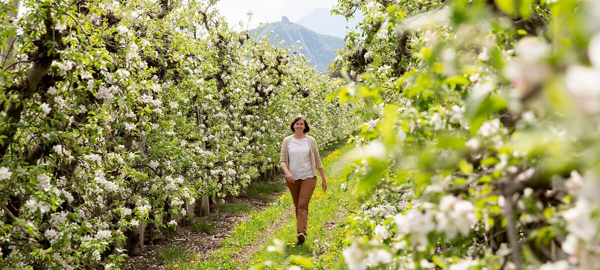 fruehlingsurlaub in suedtirol