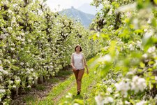 fruehlingsurlaub in suedtirol