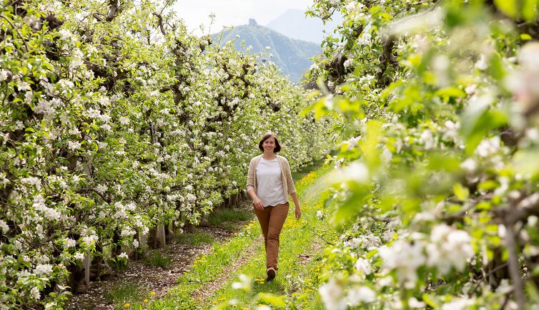 fruehlingsurlaub in suedtirol